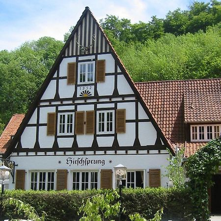 Landhaus Hirschsprung Детмольд Экстерьер фото